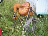 cement mixer