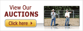 View Auctions View Auctions