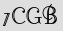 Security Captcha
