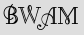 Security Captcha