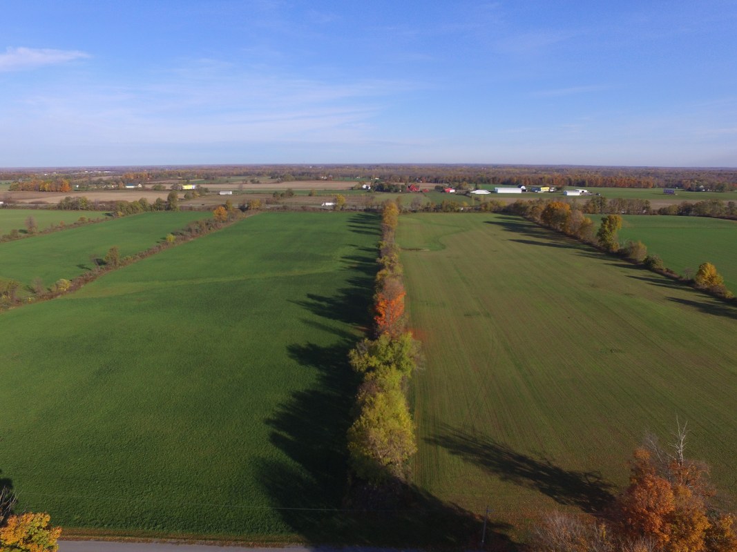 farm auction in batavia