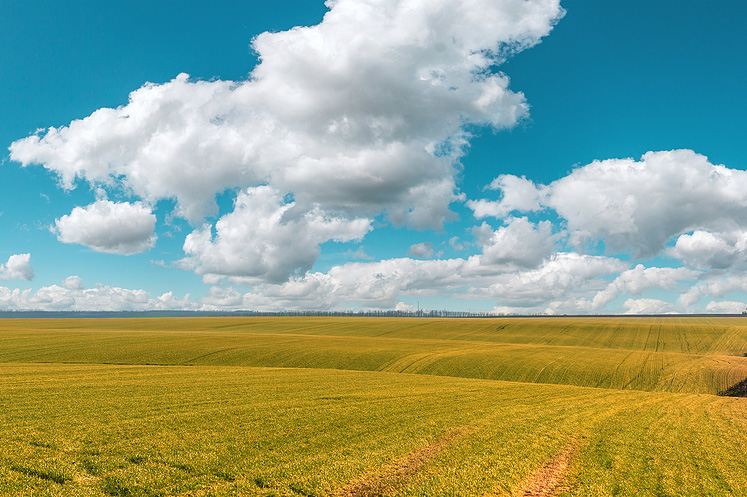 farmland auction