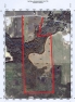 aerial map