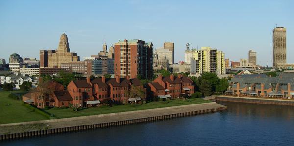 buffalo landscape