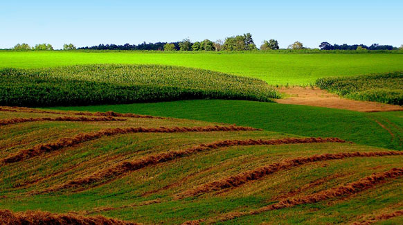 farmland for auction